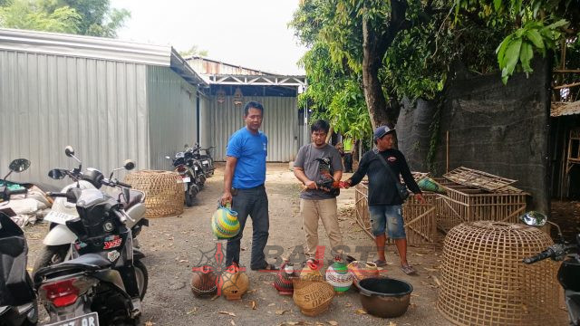 Sabung Ayam di Desa Panjang Kudus Digrebek Polisi, 10 Ekor Ayam dan 14 Motor Diamankan Polisi