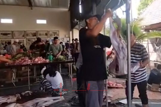 Penyembelihan Hewan Kurban Menara Kudus, Ada 16 Kerbau, 37 Kambing, 12.000 Bungkus Dibagikan