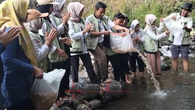 Tim KKN UIN Sunan Kudus Kelompok 033 Beserta Pemdes Jurang Tebar Benih Ikan Nila 1.500