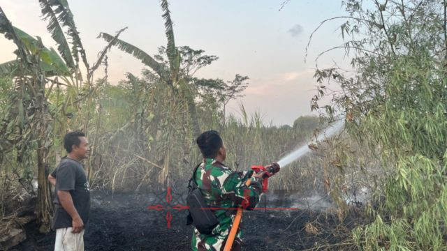 Api Membara di Wedarijaksa! 7.000 Meter Persegi Lahan Tebu Terbakar, Kerugian Tembus Rp50 Juta
